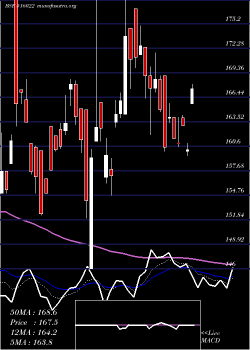  Daily chart StarPaper