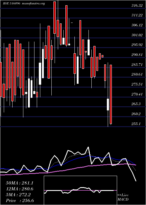  Daily chart SangalPaper