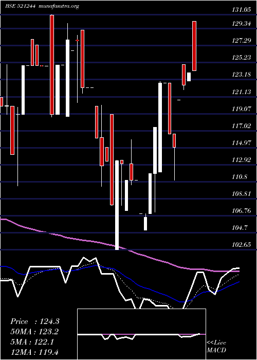  Daily chart ChitraSpin