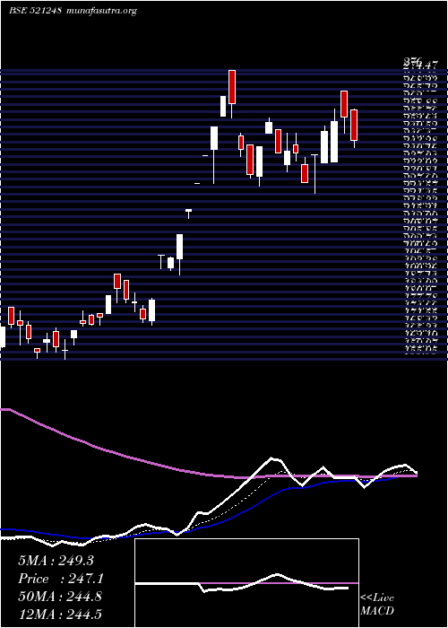  Daily chart KitexGarmen