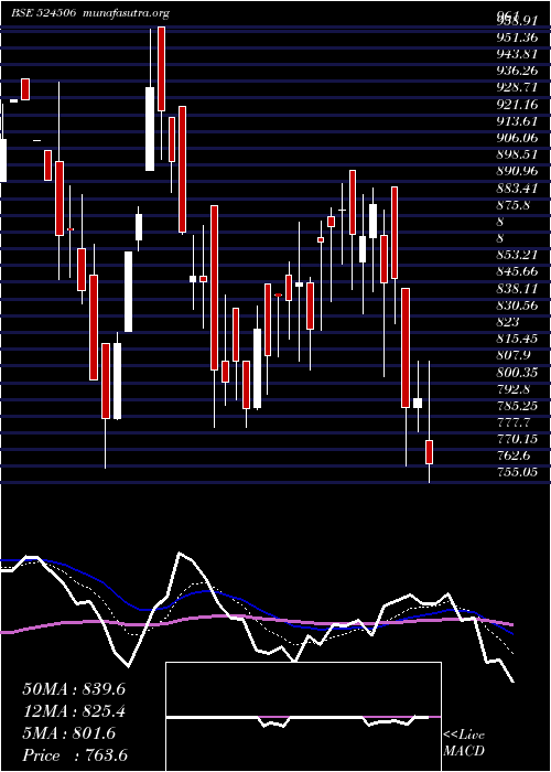  Daily chart CoralLab