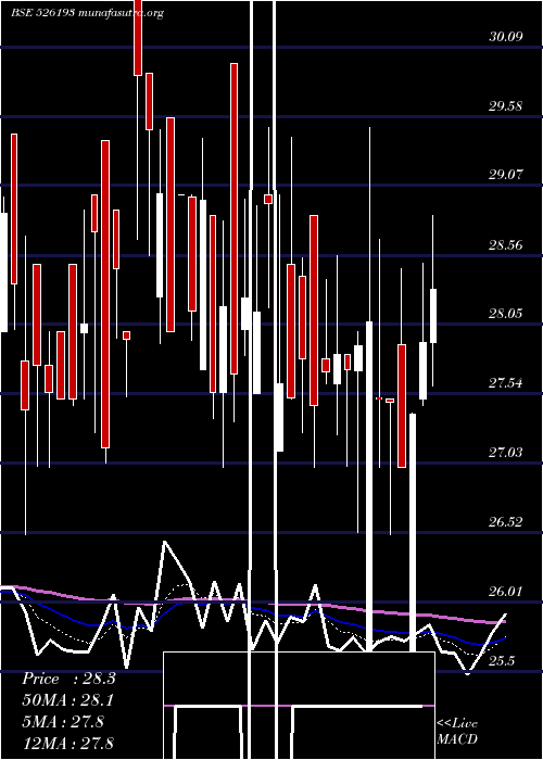  Daily chart RoyalCushio