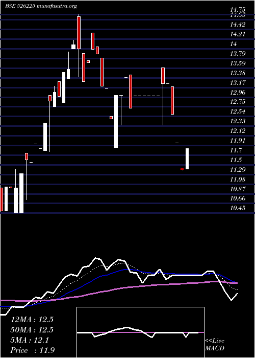  Daily chart BloomDekor