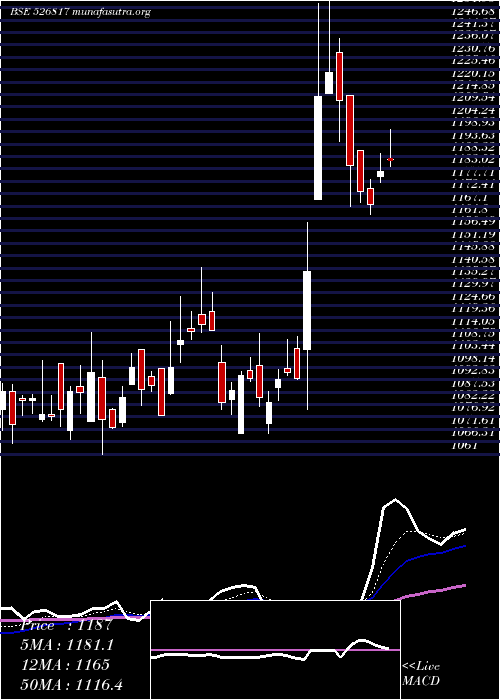  Daily chart CheviotCo