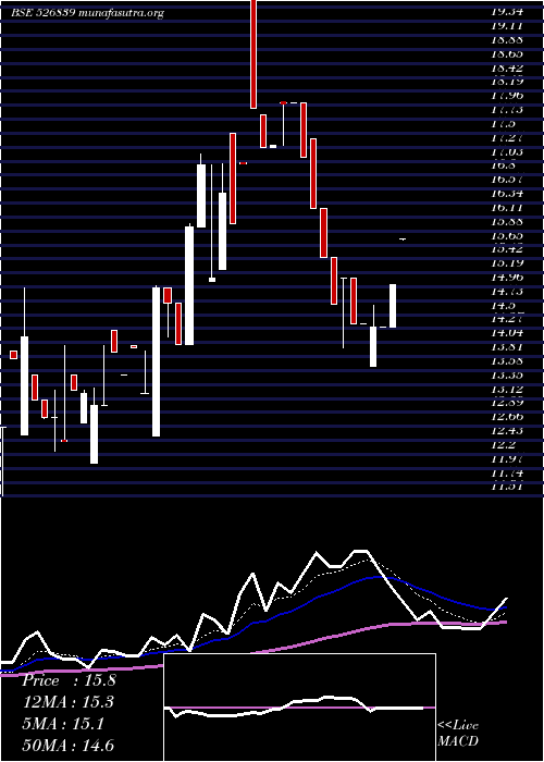  Daily chart Shelter