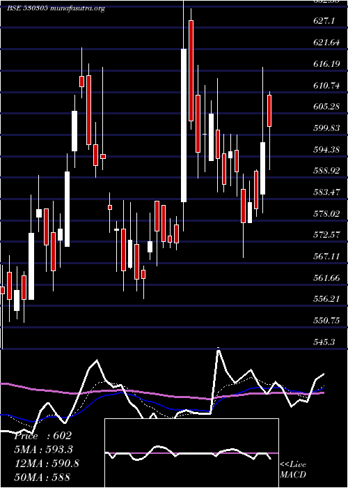  Daily chart PiccadilyAg