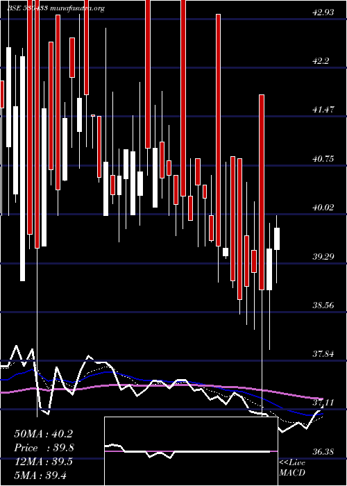  Daily chart ShivaFert