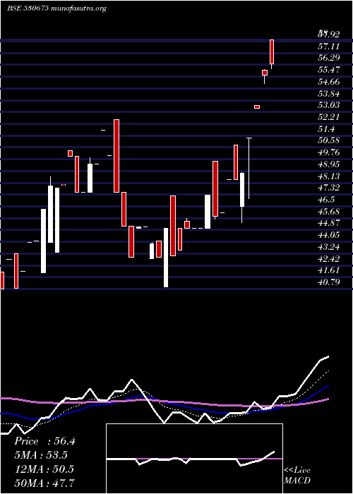  Daily chart YorkExports