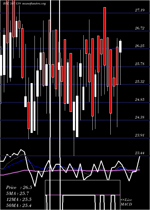  Daily chart Catvision