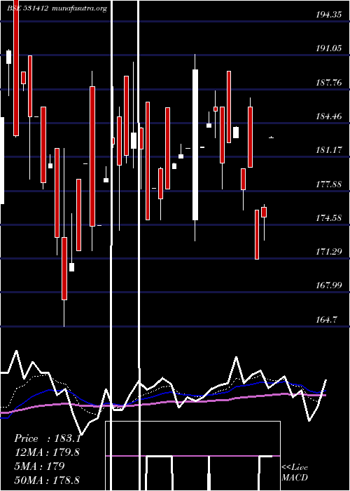  Daily chart RadixInd