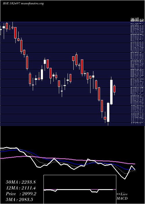  Daily chart Radicokhait