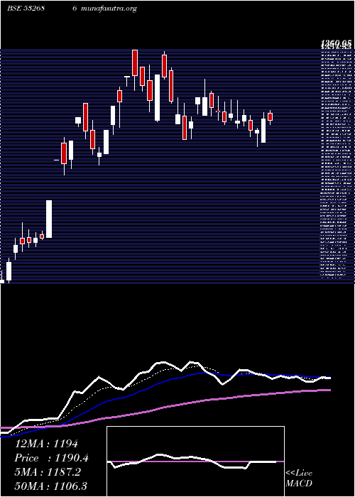  Daily chart KernexMicro