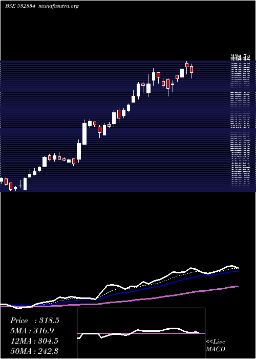  Daily chart Camlinfine