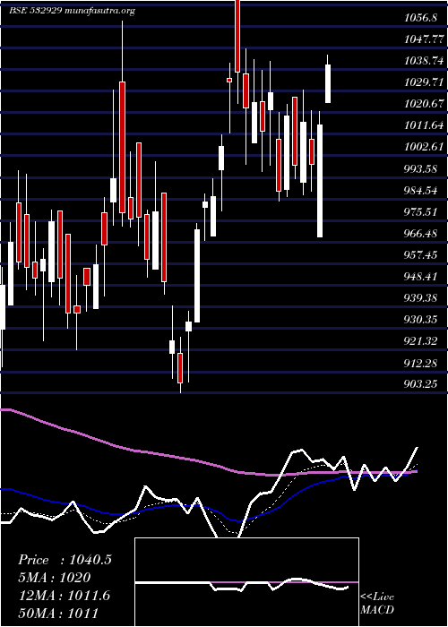  Daily chart Brigade