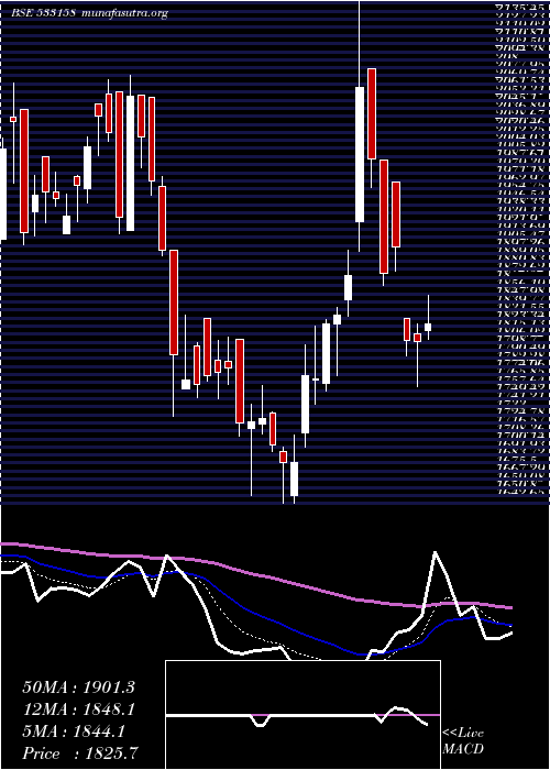  Daily chart Thangamayil