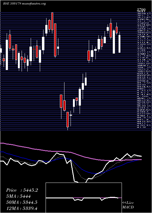  Daily chart Persistent