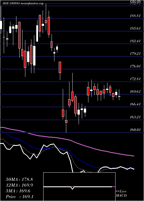  Daily chart N100