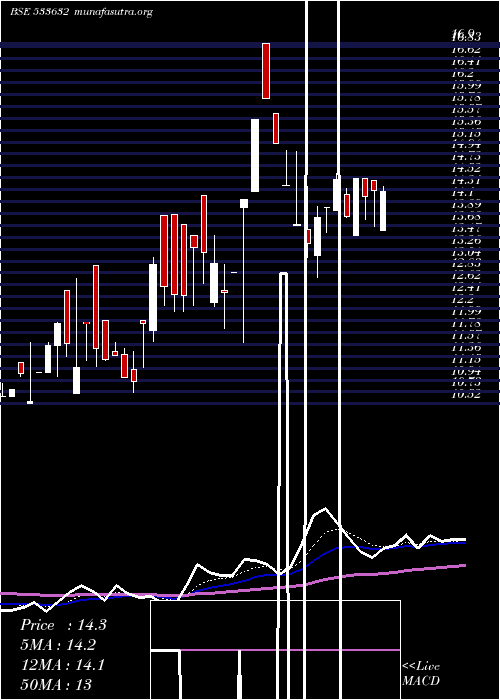  Daily chart OnelifeCap