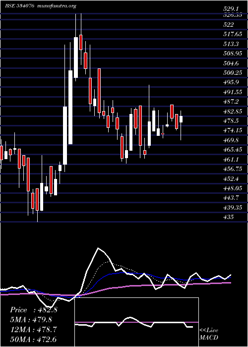  Daily chart OrientRef