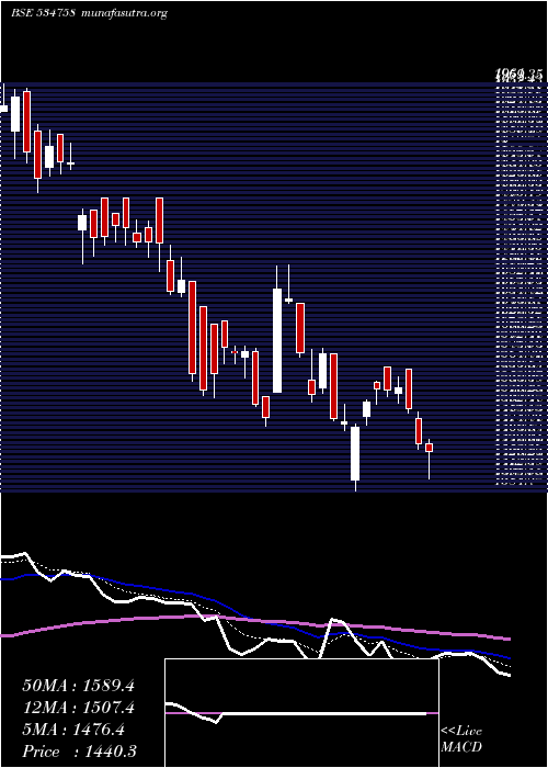  Daily chart CignitiTech