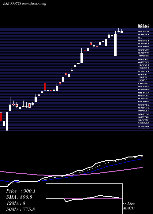  Daily chart JinPoly
