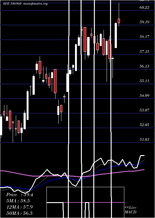  Daily chart M100