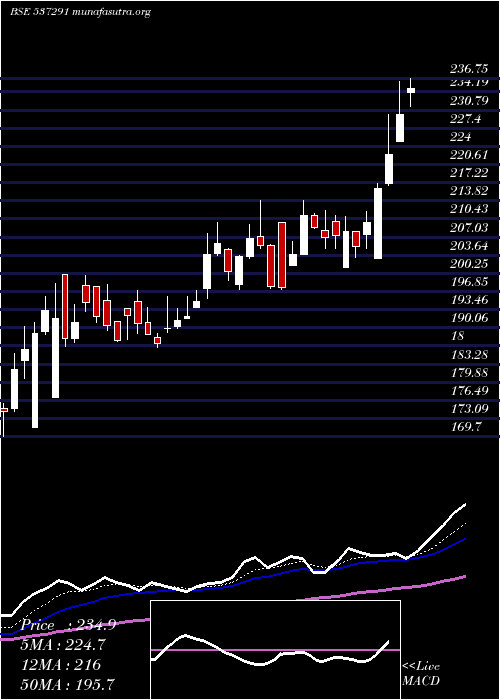  Daily chart NathBiogen