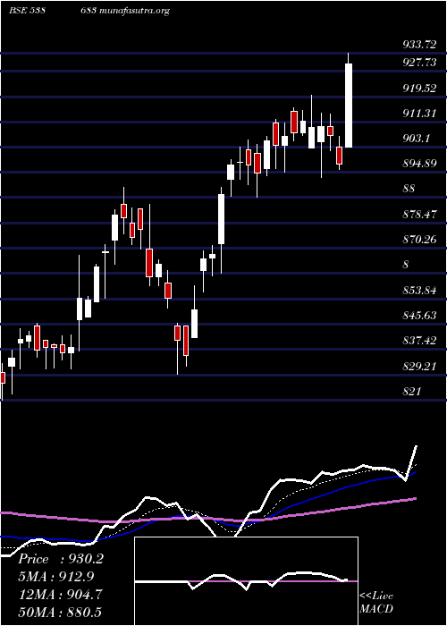  Daily chart Netfsensex