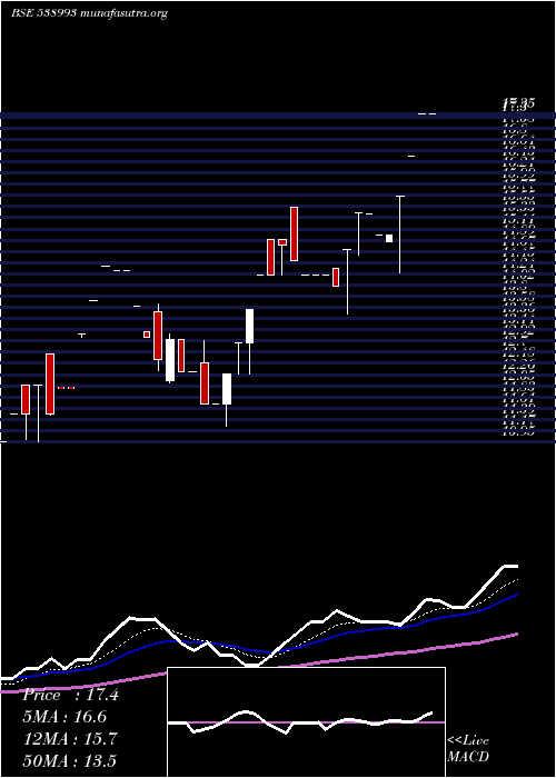  Daily chart Purohitcon