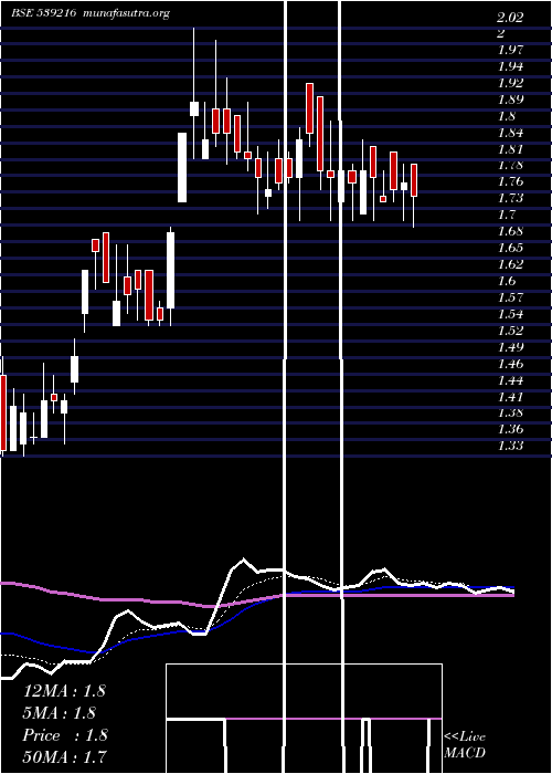  Daily chart Garmntmntr
