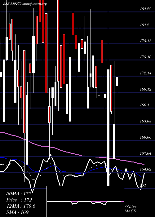 Daily chart Msl
