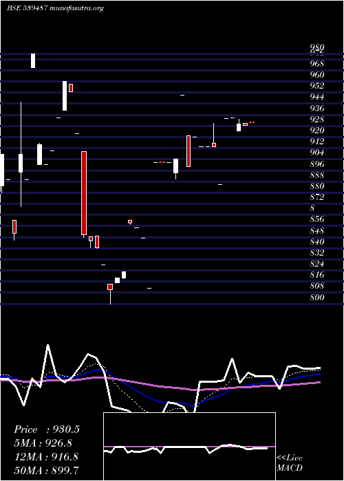  Daily chart Licnetfsen