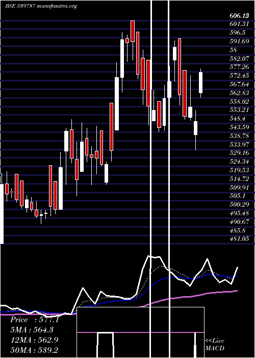  Daily chart Hcg