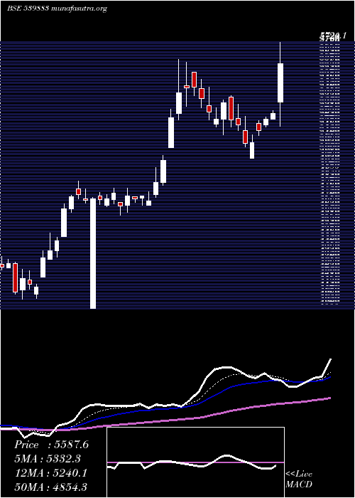  Daily chart Pilaniinvs