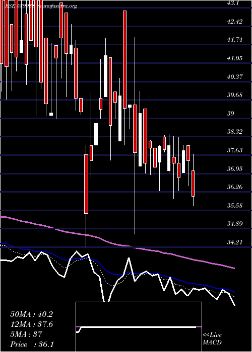  Daily chart Mil