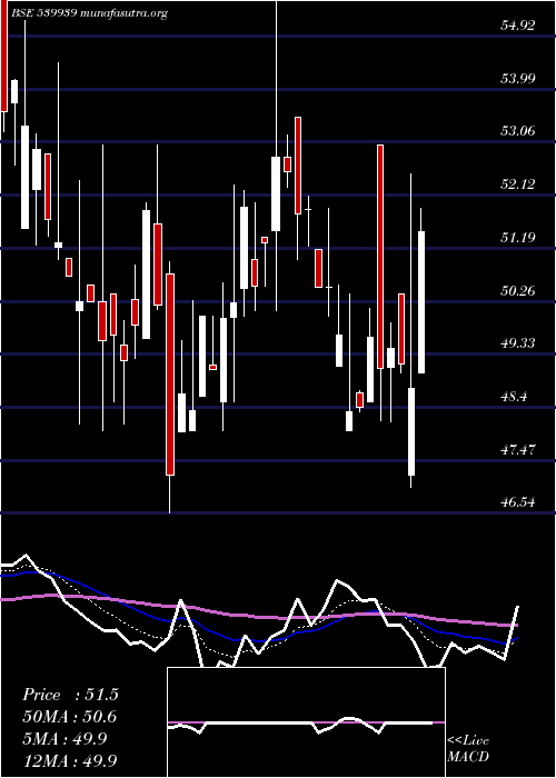  Daily chart Yashchem