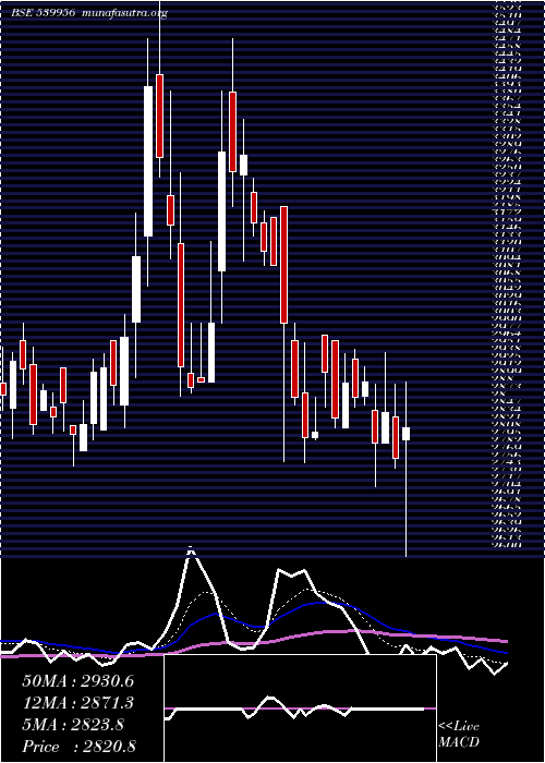  Daily chart Taalent