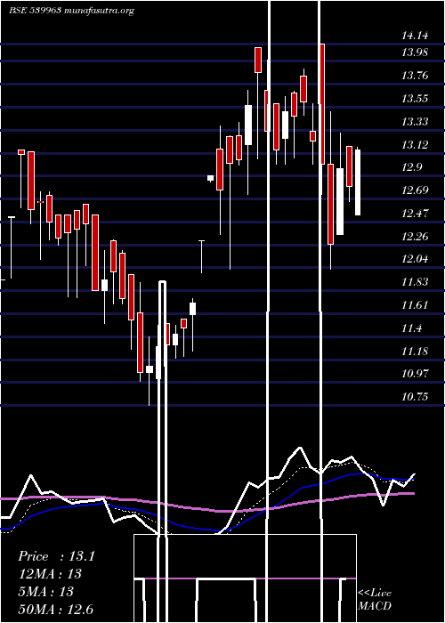  Daily chart Zeal