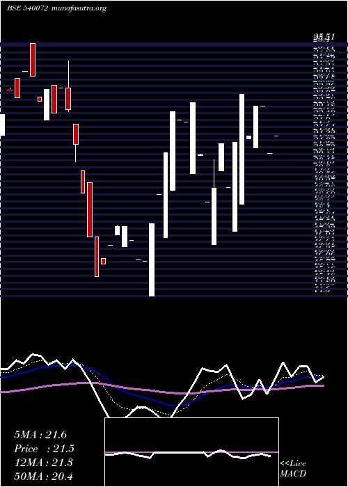  Daily chart Shivaexpo