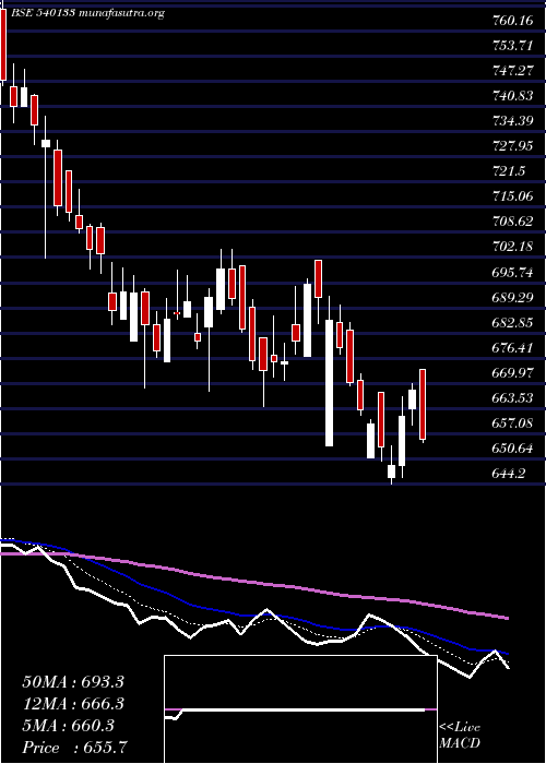  Daily chart Icicipruli