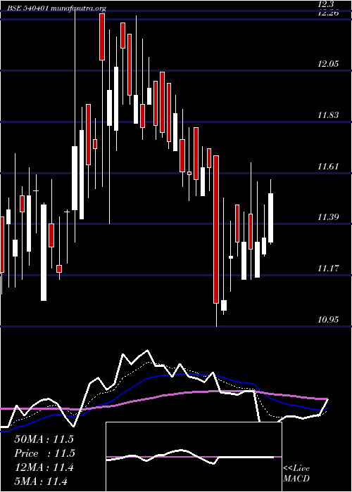  Daily chart Maximus