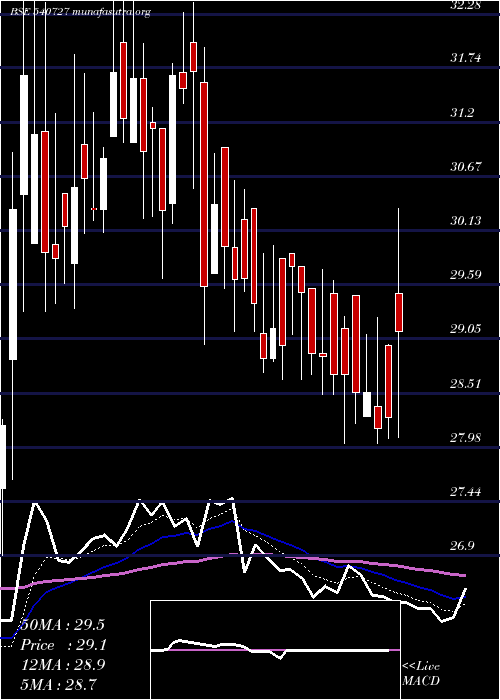  Daily chart Pooja