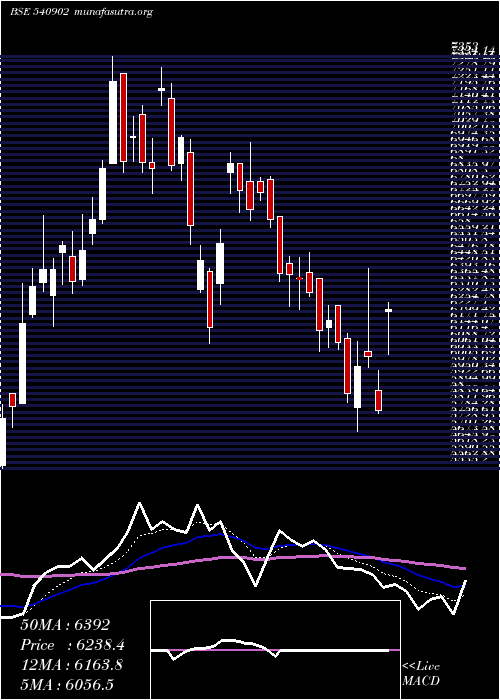  Daily chart Amber