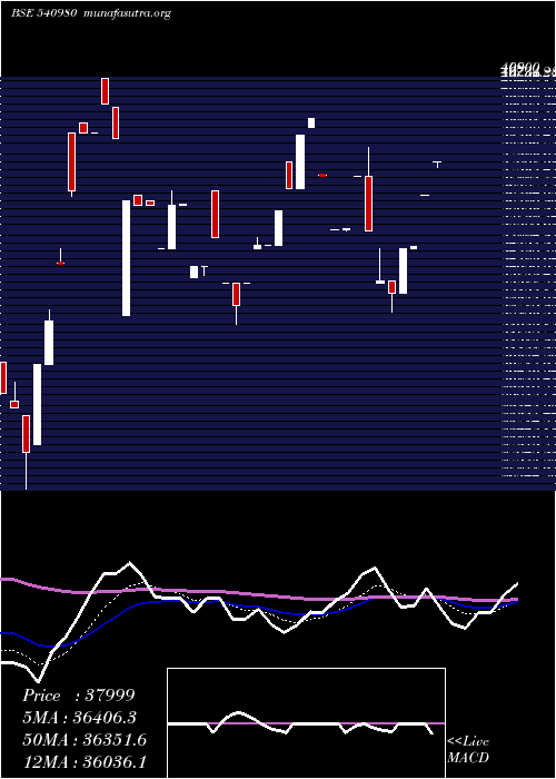  Daily chart Ysl