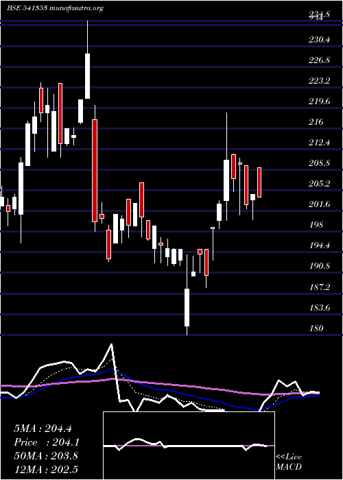  Daily chart Innovators