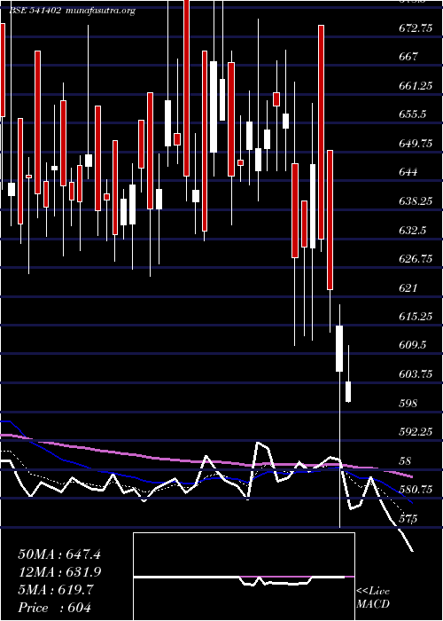  Daily chart Affordable