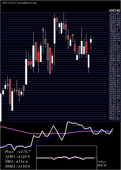  Daily chart Fineorg