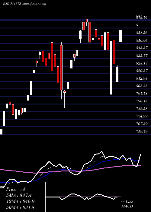  Daily chart Setfsn50