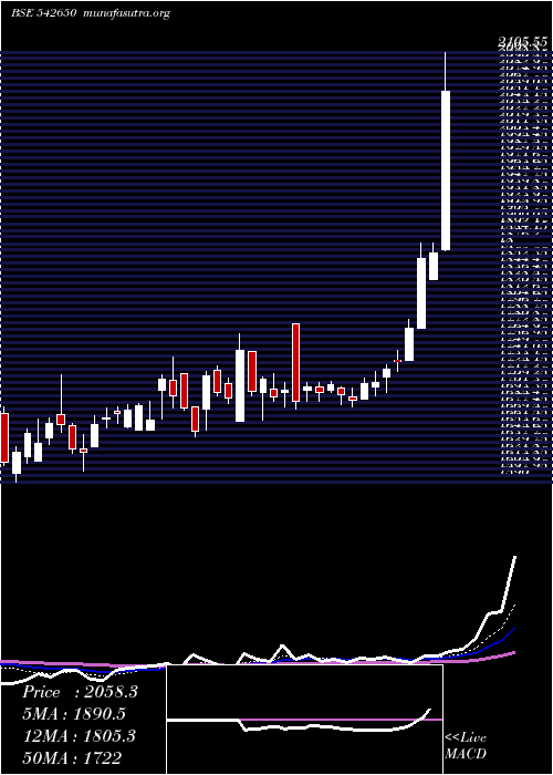  Daily chart Metropolis