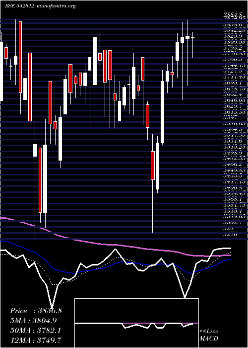  Daily chart Fluorochem